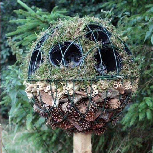 Meet your Posher, Rachel - Picture 1 of 1